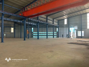 Cho thuê kho 1000m2 mặt tiền N2, Long An, có cẩu trục 20 tấn, trạm điện riêng