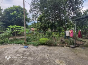 Mảnh đất vườn yên bình 1000m2 tại Bản Vền cũ, Lào Cai cơ hội an cư lý tưởng