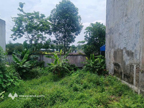 Cần tiền Bán gấp đất 10m mặt tiền DT490, Xã Nghĩa An, Nam Trực, Nam Định, 300m2. Còn TL