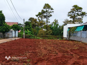 Đất nền sổ hồng, gần khu công nghiệp Sonadezi Châu Đức, giá hấp dẫn