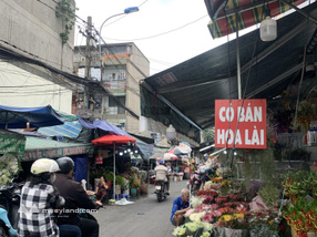 Bán Nhà Đất Đường Hoa Hồ Thị Kỷ Quận 10, DT 110m2 C4 Ngang 5.2m, SHR, Đường Xe Hơi, Chỉ 20 Tỷ