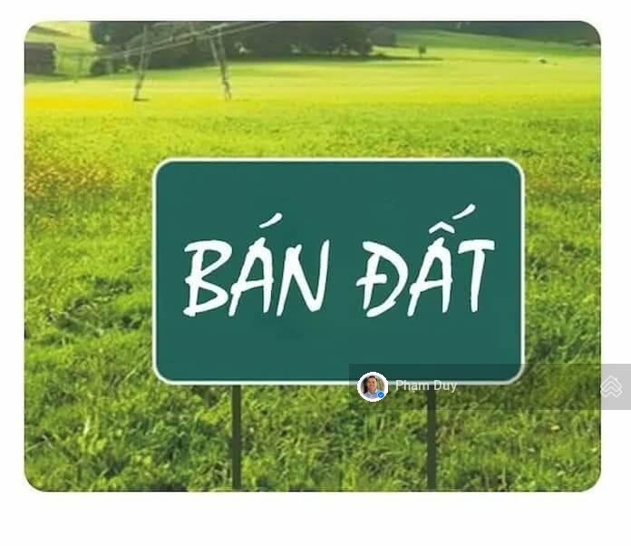 Siêu cơ hội đầu tư quý hiếm quận 7 bán 2,6ha đất quy hoạch xây cao tầng phường phú thuận, quận 7