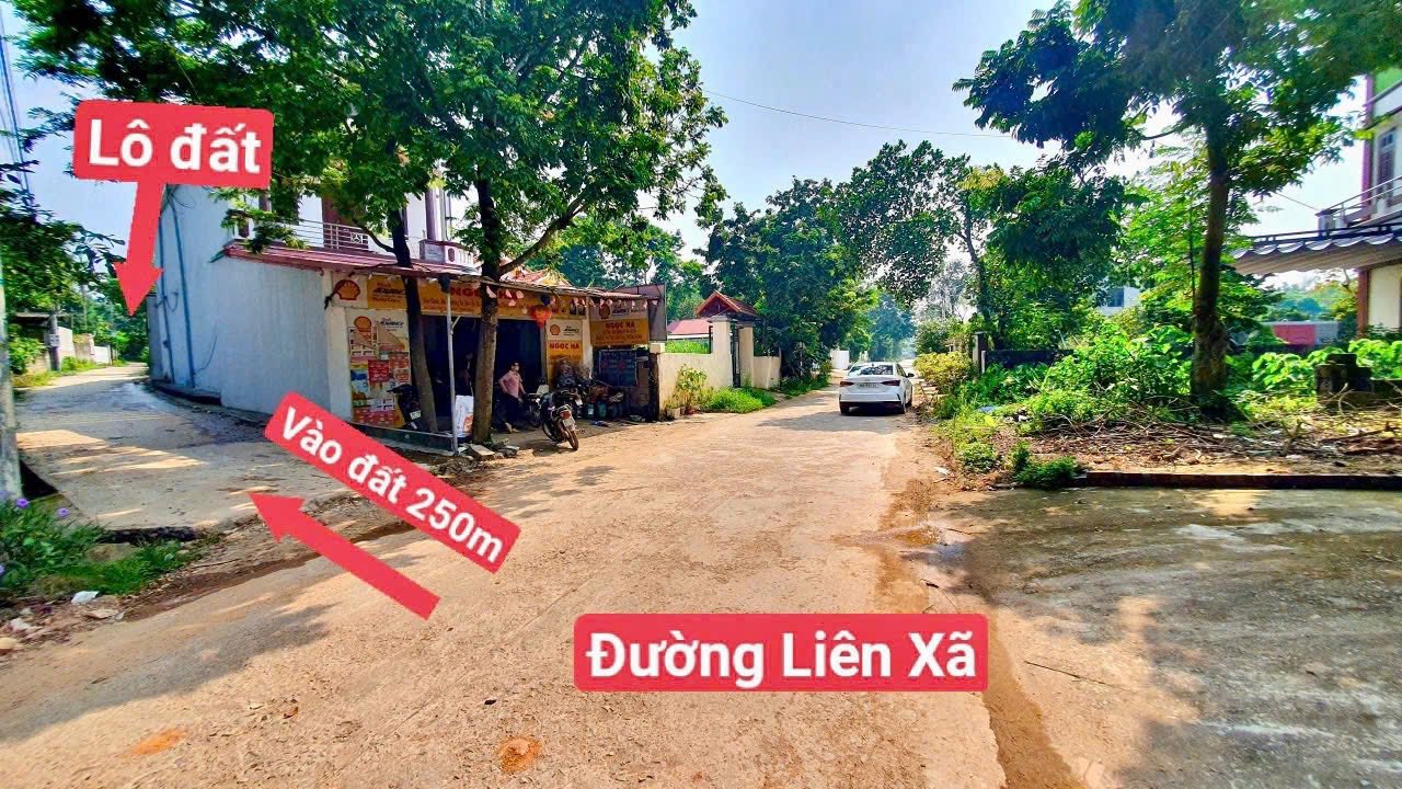 Đất đẹp Lập Thạch, Vĩnh Phúc - Giá sập sàn
