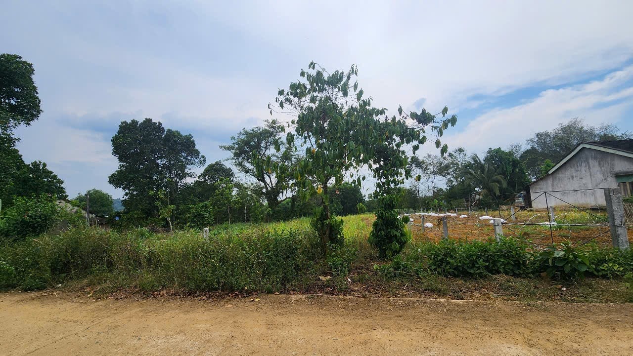 Đất view hồ Hà Roi, Phú Yên – Cơ hội đầu tư xịn xò