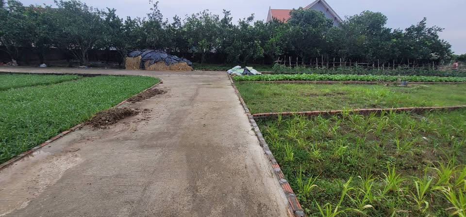 Đất Phú Dư 98m2, đường ô tô vào tận nơi, chủ nhà đang cần xả hàng gấp