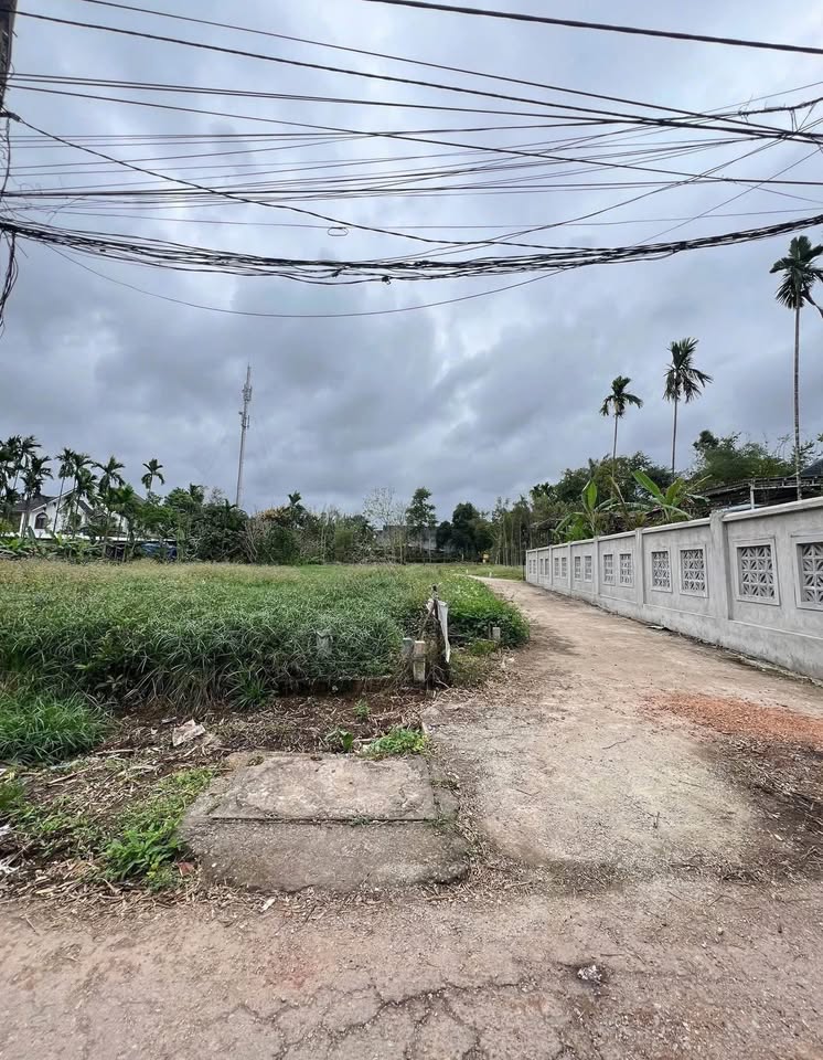 Bán đất mặt tiền đường Phạm Đình Toái, phường Thủy Xuân, Huế 119m2, 2,3 tỷ