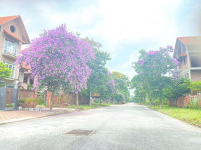 Chỉ 12 tỷ lô biệt thự SL vị trí đắc địa KĐT Quang Minh - Mê Linh Hà Nội, 0967522585