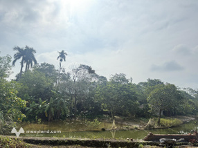 Chính chủ nhờ chuyển nhượng 6800m2 bám hồ tại Hoà Sơn, Lương Sơn, Hoà Bình cũ