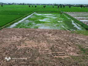 Bán 4872m2 đất TMDV Kiến Xương Thái Bình tặng 2000m2 đất trồng lúa liền kề