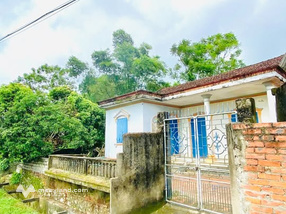 Siêu phẩm nhà mặt tiền rộng tới 15m, diện tích khủng 750m2 đang chờ chủ nhân mới tại xã Yên Định, Thanh Hóa