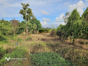 Bán gấp 1493,5 m2 đất vườn chính chủ và HH 2% hỗ trợ