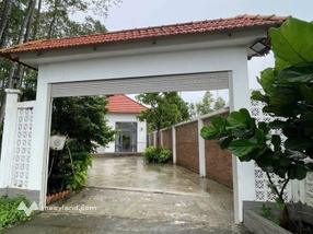 Biệt thự mini 8mx33m, nở hậu 12m nhà đẹp đối diện ủy ban nhân dân xã, giá hời