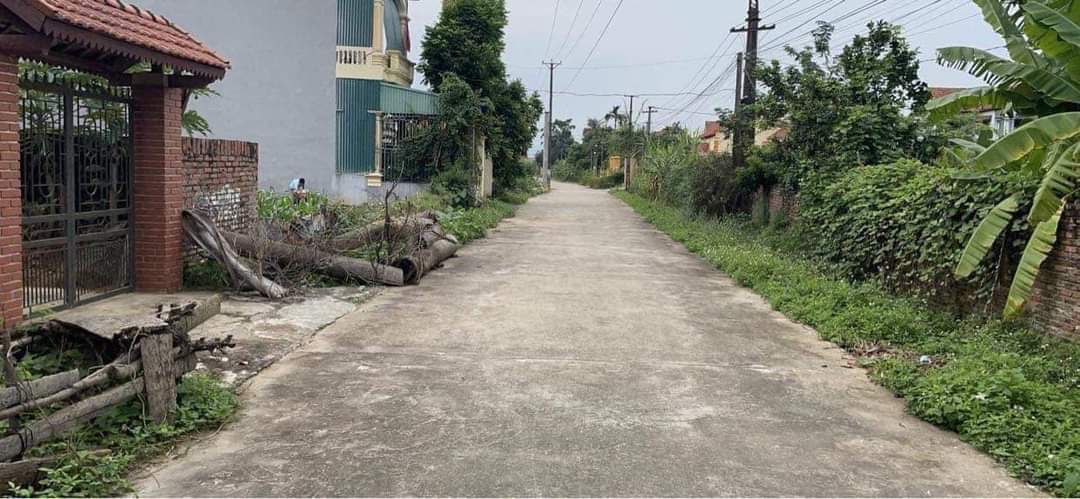 Bán đất thổ cư 129m2, mặt tiền 4,5m tại Phùng Nguyên, Phú Thọ