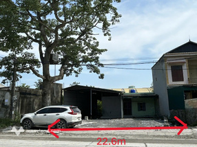 Phát mại đất xã Ninh Vân, thành phố Hoa Lư