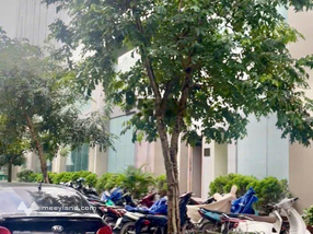 NHƯ QUỲNH CENTER - HƯNG YÊN, Siêu hiếm, kinh doanh đỉnh