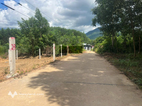 Bán đất đẹp tại Xã Khánh Đông, 245 triệu, 134m2, pháp lý đang chờ sổ