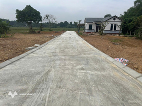 Bán đất tại Xã Cẩm Lĩnh, 1 tỷ, 100m2, mặt tiền 5m, ngõ rộng 10m