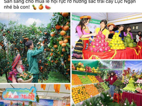 Đất nền đẹp xuất sắc tại Thị trấn Chũ, Lục Ngạn, Bắc Giang, 835 triệu, 150m2