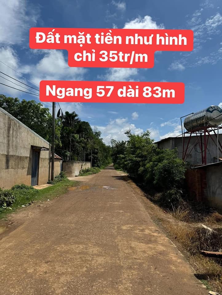 Đất trang trại 5,1 sào Eakao, cơ hội đầu tư sinh lời hấp dẫn