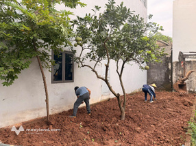 đất thổ cư 55,8m tại hưng đạo quốc oai oto đỗ cửa cách dg vành đai 4 chi 800m giá đầu tư