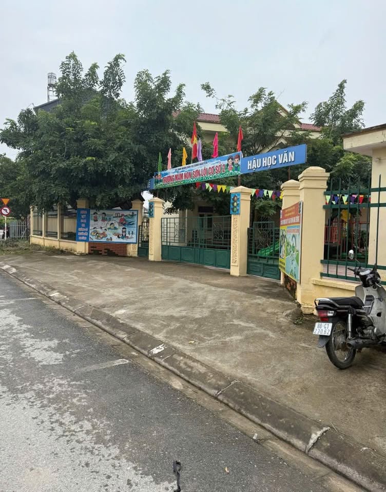 Bán đất dịch vụ 100m² full thổ cư, mặt tiền 5m tại Sơn Lôi, Bình Xuyên, Vĩnh Phúc