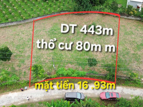 Đất Yên Thế 443m2 view thoáng, mặt tiền 16m, giá 'hời' - Chốt ngay kẻo lỡ