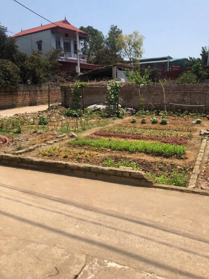 Bán đất lô góc kinh doanh, đường thông ô tô tránh - Phúc Thọ, Hà Nội