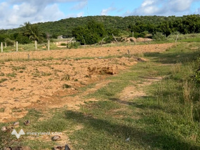 Bán đất nông nghiệp gần biển giá chỉ 600k/mv