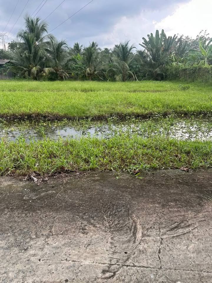 Chính chủ gửi bán lô đất cực phẩm tại Thành phố Mỹ Tho