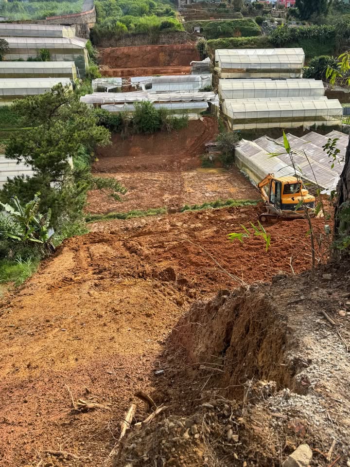 Bán rẻ lô đất nông nghiệp rộng 5000m2 tại Đà Lạt