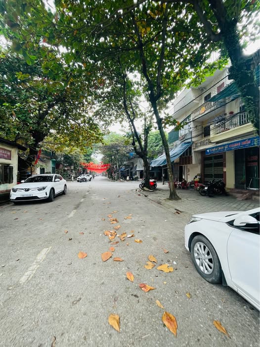 Nhà 3 tầng mặt tiền phố Máy Tơ, kinh doanh sầm uất