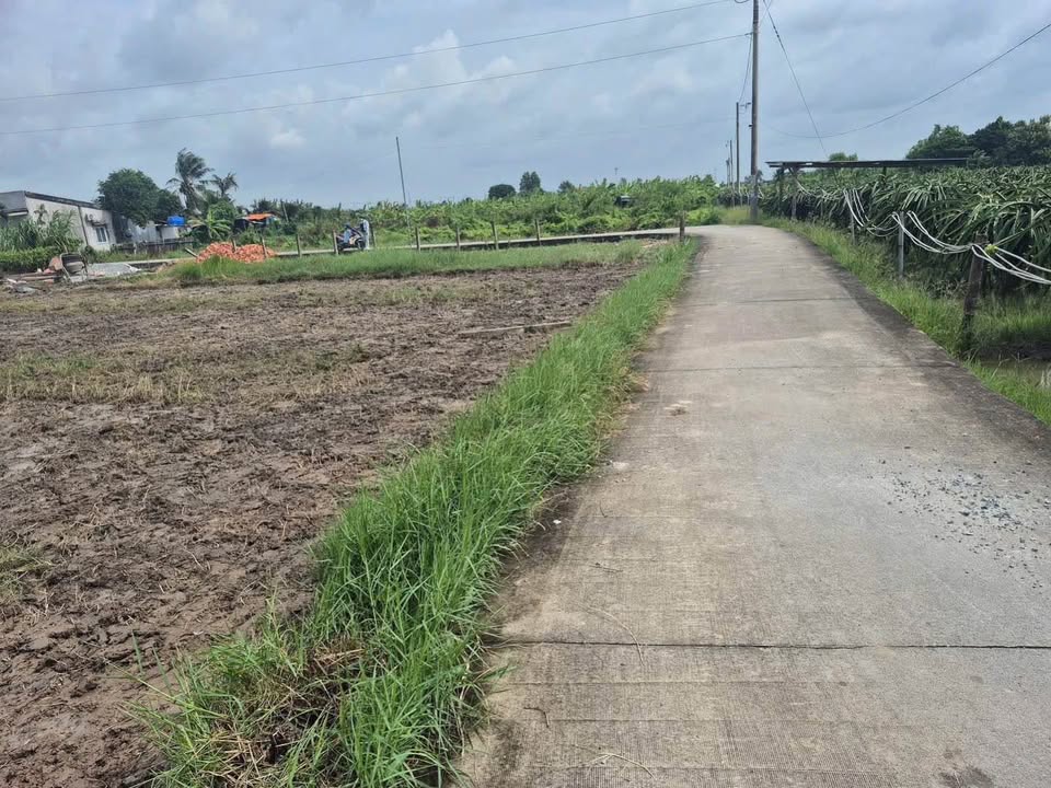 Đất Vĩnh Công xịn sò, giá mềm xỉu