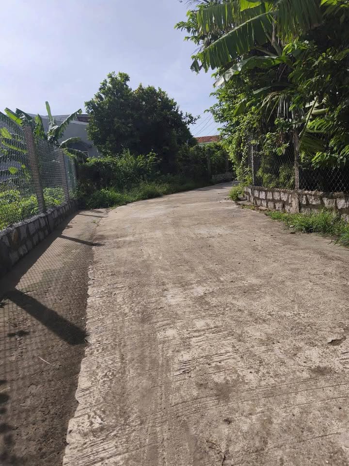 Đất nở hậu 135m² 550 triệu, ô tô tận nơi, sổ đỏ sẵn sàng