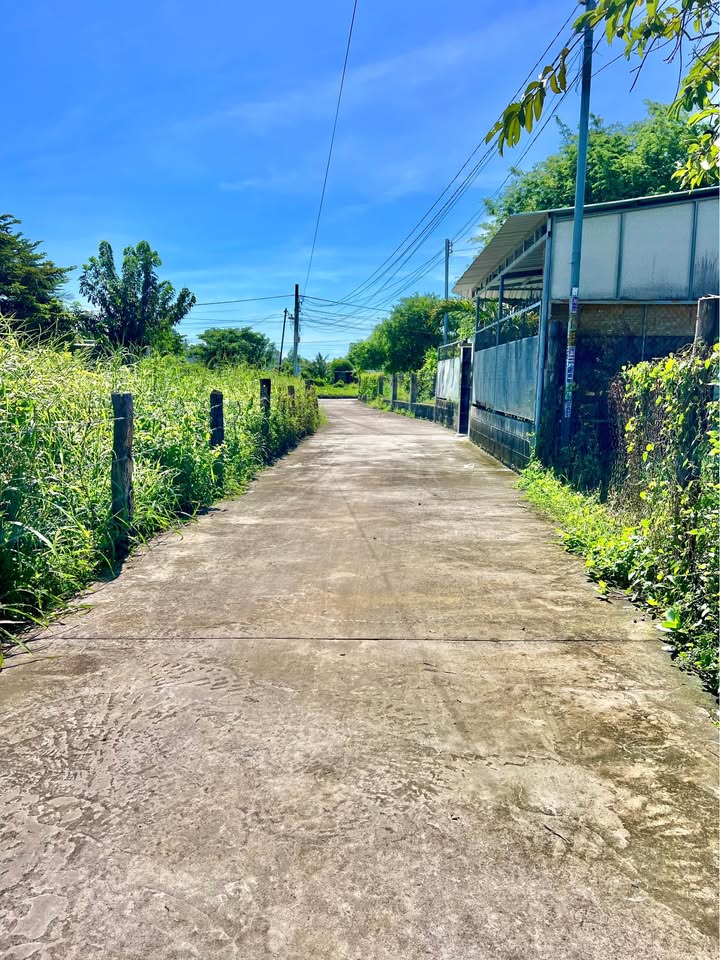 Siêu phẩm đất nền rộng tới 933m2, có ngay 220m2 thổ cư sẵn sàng chờ bạn