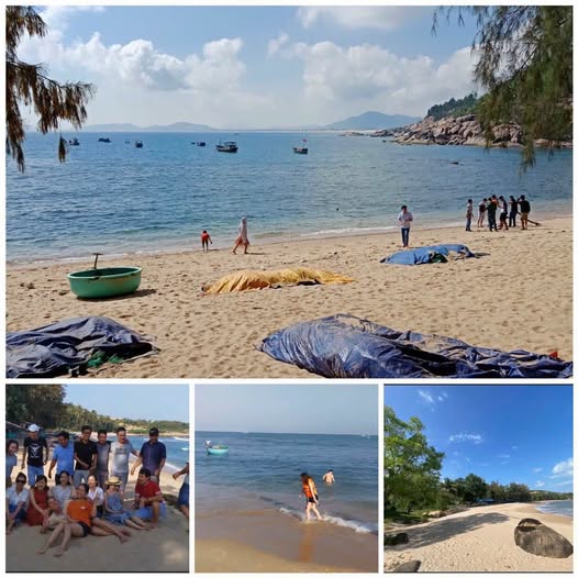 Bán đất vàng Bãi Rạng, Sông Cầu, 477m2, 50m ra biển, tiềm năng homestay