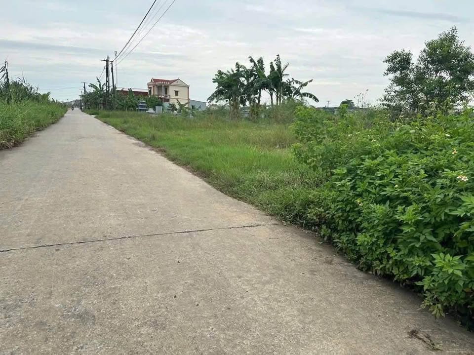 Đất đấu giá 100m² tại Khu đấu giá Hồng Dũng, Thái Thụy, Thái Bình