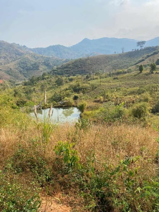 Cần bán 35 hecta đất trắng tại Đăk Ruồng, huyện Kon Rẫy, tỉnh Kon Tum