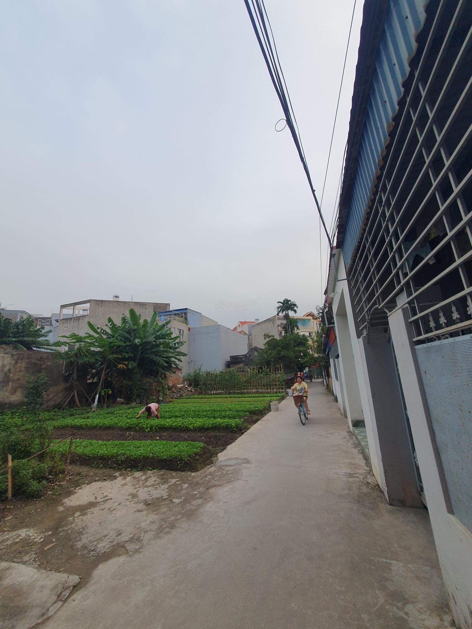 Chính chủ cần bán đất tại Thư Trung 2, Hải An gần dự án 833, 193 Văn Cao