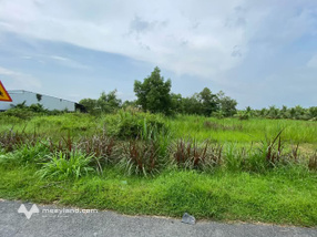 Đất mặt tiền kinh doanh, tỉnh Lộ 911, Trà Vinh, vị trí đắc địa