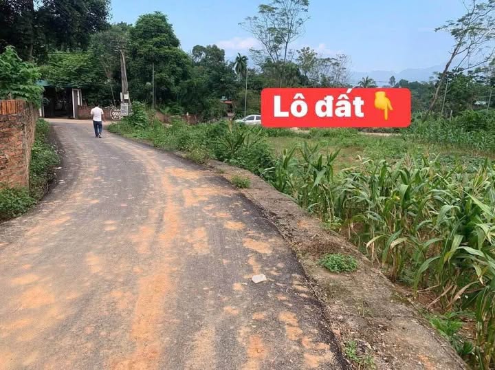 Bán đất 148m2 mặt tiền 6m tại Liễn Sơn, Lập Thạch, Vĩnh Phúc