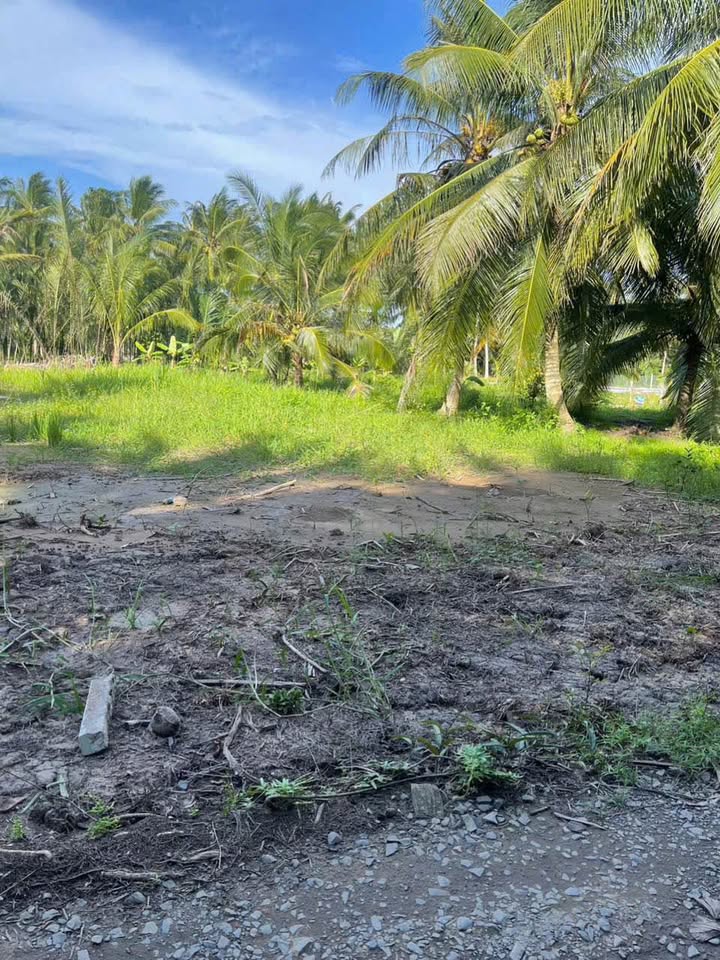 Bán đất nền 500m² mặt tiền rộng 9.45m tại Hòa Lộc, Bến Tre