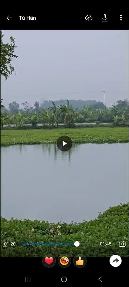 Đất Yên Khánh hơn 2000m2 - Mua ngay kẻo lỡ, lời lãi đầy túi