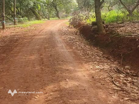 Tìm đâu ra mảnh đất 2 hecta "xịn sò" giáp ngay Đồng Xoài mà xe hơi "vô tư" tới tận vườn