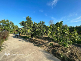 Đất Phú Hưng, Bình Tân 400m2, ngang 23m, tách 2 lô, đường ô tô tới đất, giá sốc