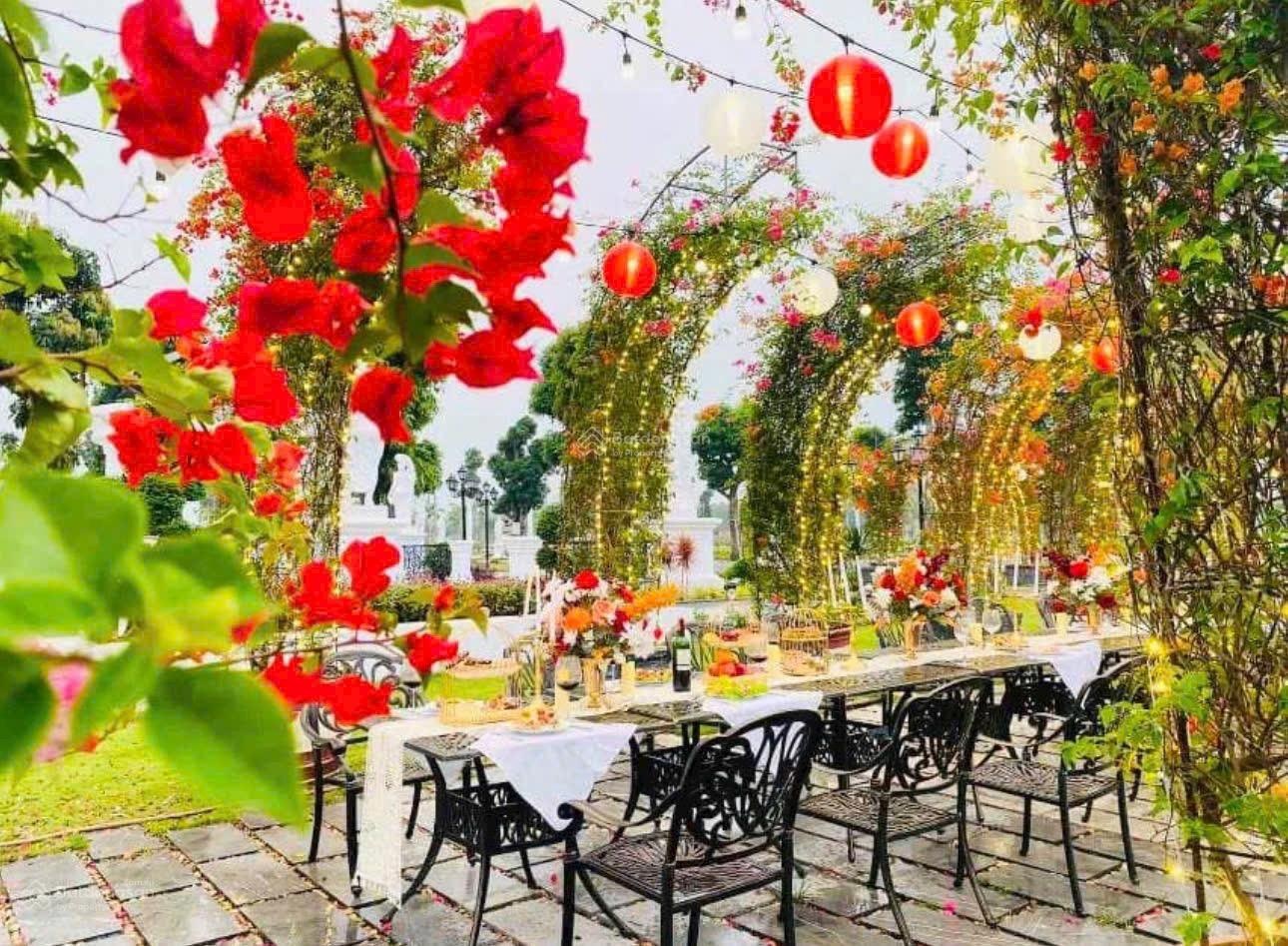 Cắt lỗ lúc mua 46tr/1m2 giờ cần tiền gấp bán 31tr/1m2