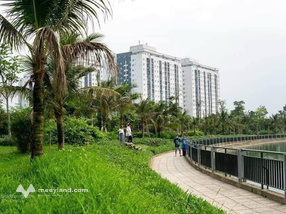 Chính chủ gửi bán lô đất b1.3 lk 13 giá chỉ từ 11.x tỷ