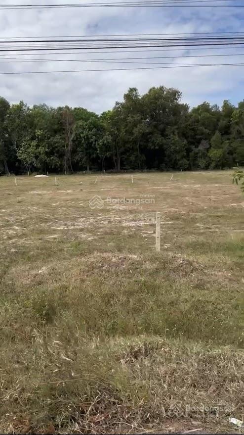 Chính chủ nhượng gấp đất mt đt795, gần trung tâm tân châu, tiện kinh doanh