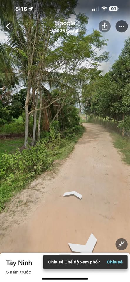 Đất nền Gò Dầu, Tây Ninh, 5m x 35m, giá tốt