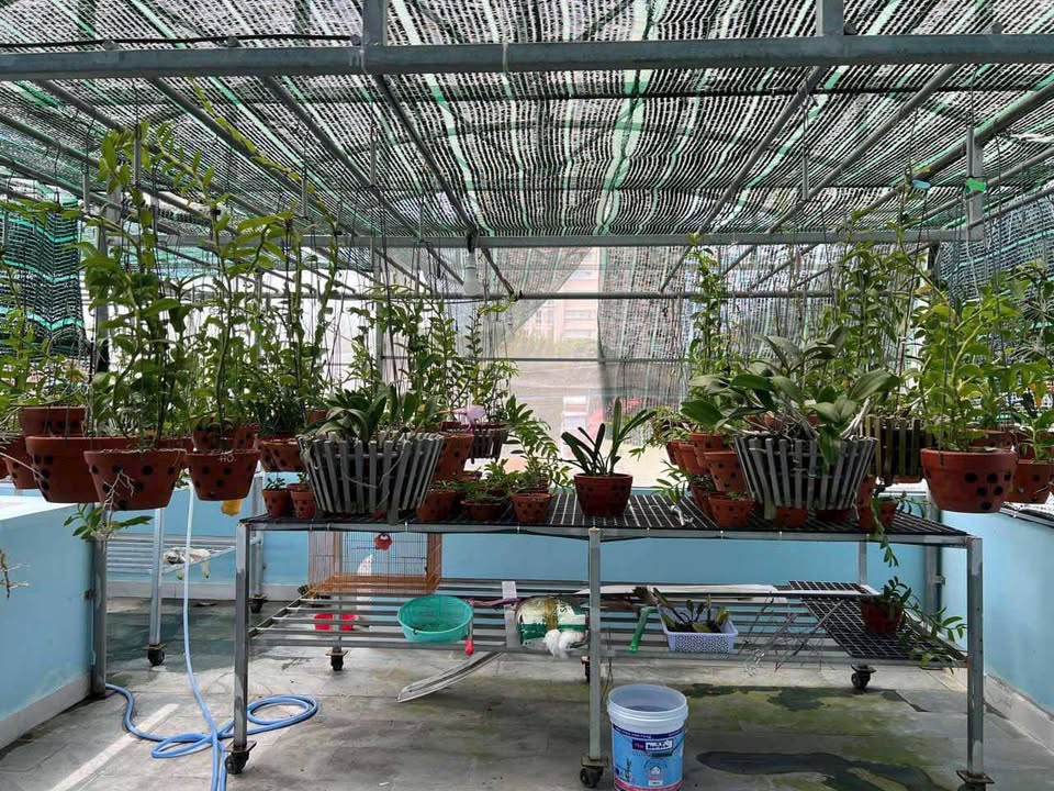 Ngay trung tâm Vũng Tàu, căn nhà 3 lầu kiên cố với thang máy riêng đang chờ chủ nhân mới