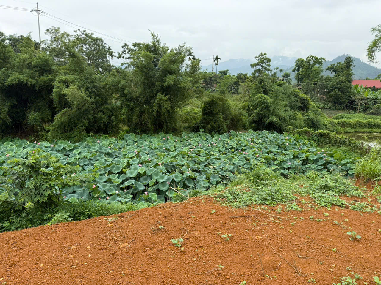 ột siêu phẩm đất mặt đường chính tại Yên Trung, Thạch Thất, Hà Nội